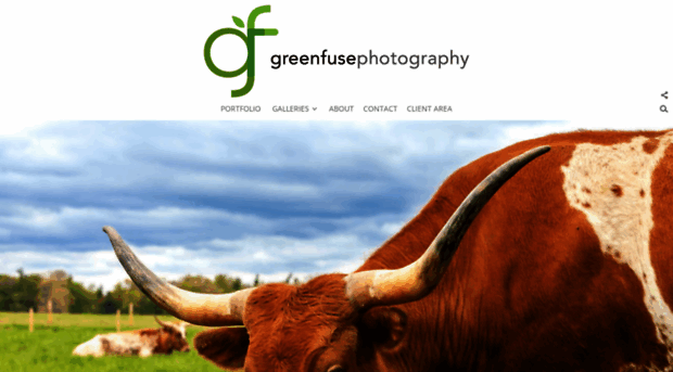 greenfusephotos.com