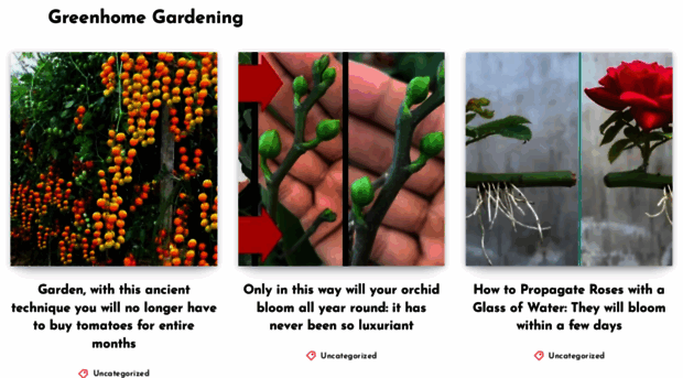 greenhomegardening.net