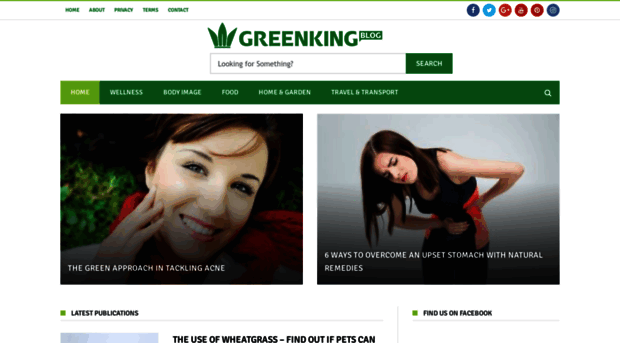 greenking.com