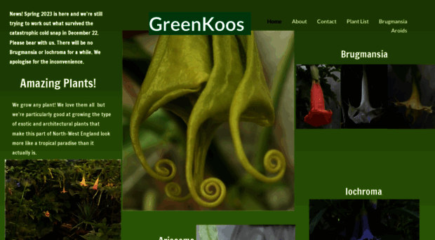 greenkoos.co.uk