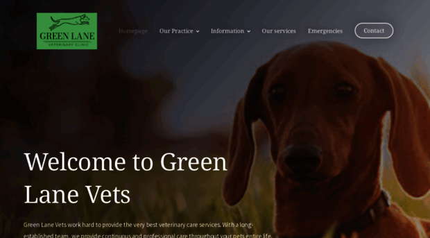 greenlanevet.co.uk