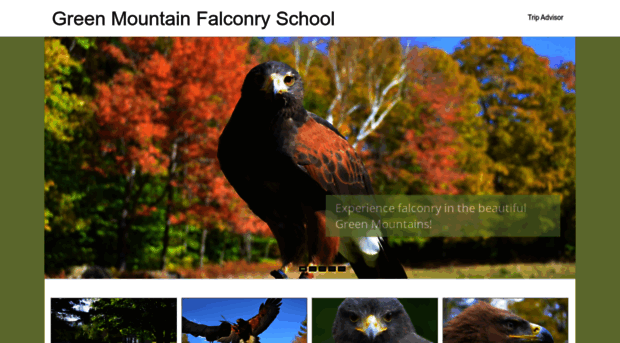 greenmountainfalconryschool.com