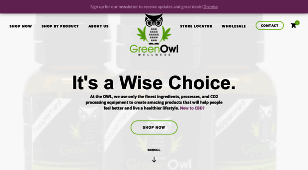 greenowlwellness.com