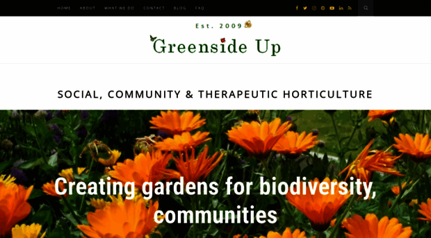 greensideup.ie