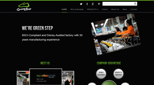 greenstepshoes.com