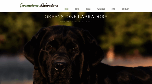 greenstonelabradors.com