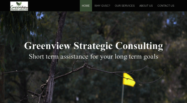 greenviewstrategicconsulting.com.au