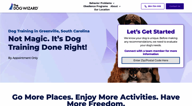 greenvilledogwizard.com