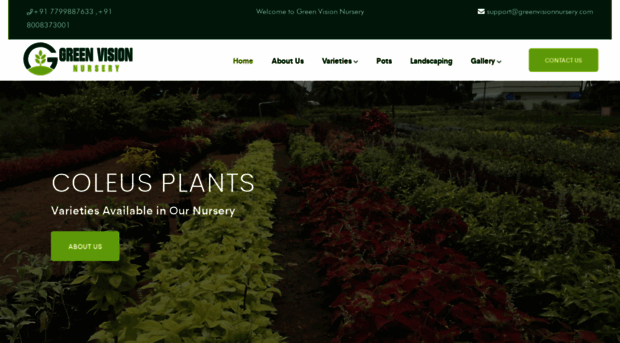 greenvisionnursery.com