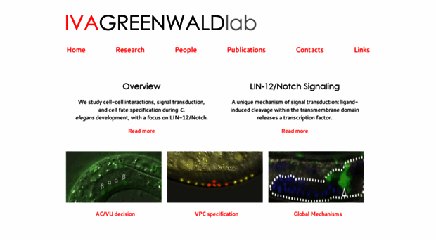 greenwaldlab.org