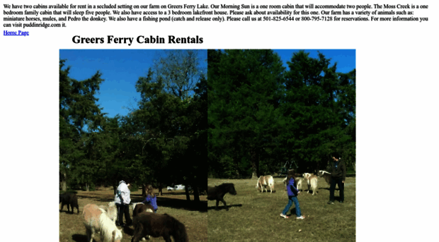 greersferrycabins.com