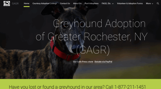 greyhoundadopt.org