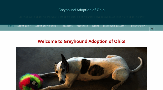 greyhoundadoptionofoh.org