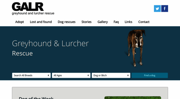 greyhoundandlurcherrescue.co.uk