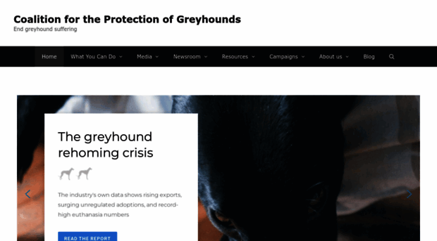 greyhoundcoalition.com