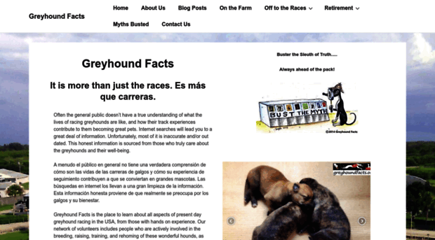 greyhoundfacts.net