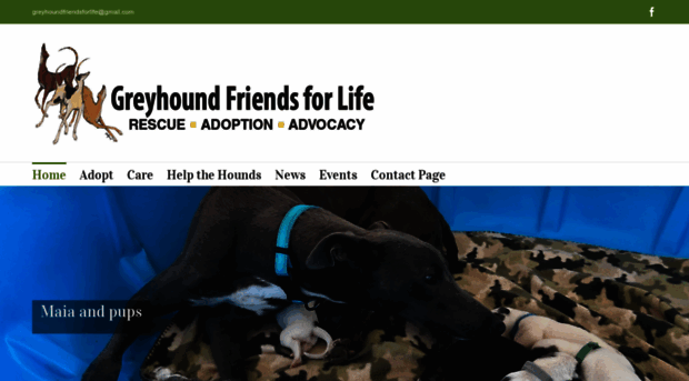 greyhoundfriendsforlife.org