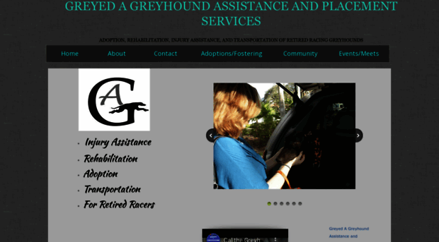 greyhoundpetsfl.org