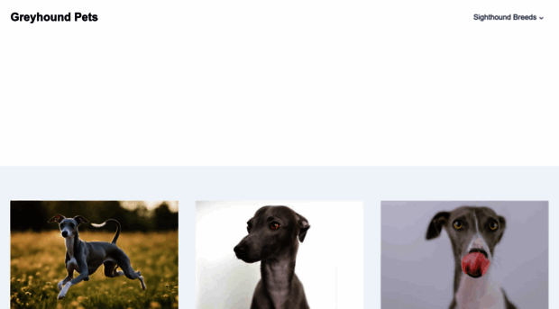 greyhoundpetsorlando.org