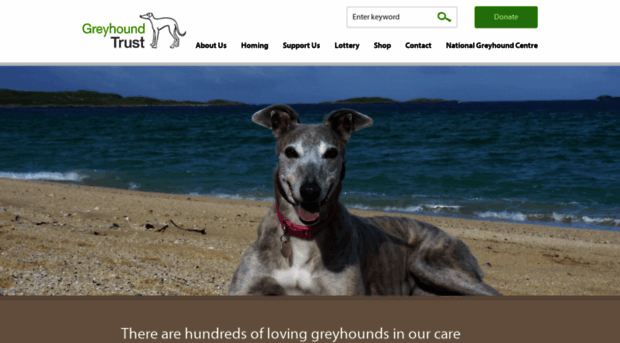 greyhoundtrust.org.uk