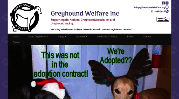 greyhoundwelfare.org