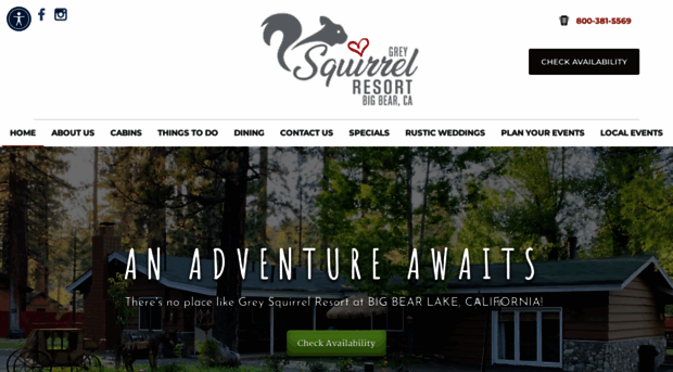 greysquirrel.com