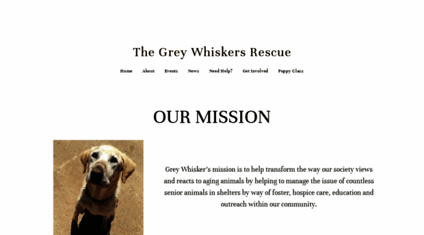 greywhiskersrescue.com