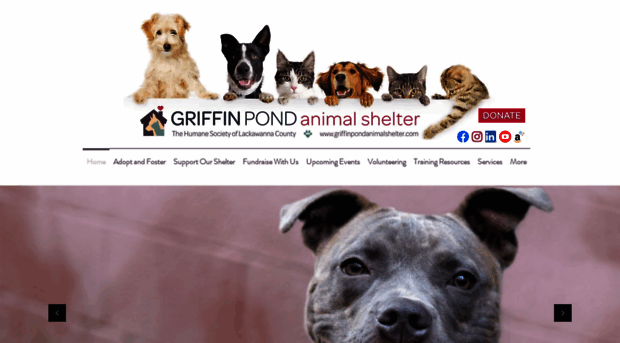 griffinpondanimalshelter.com