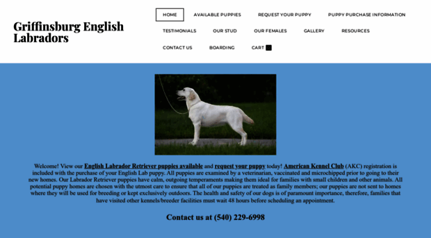 griffinsburgenglishlabradors.com