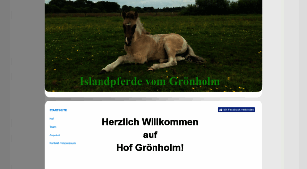 groenholm.de