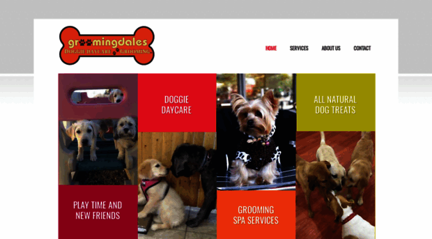 groomingdalesdaycare.com