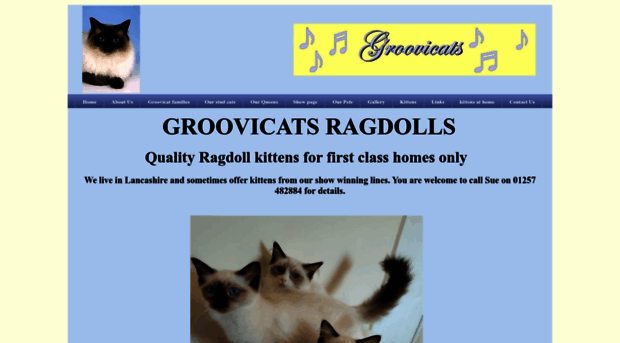 groovicats.co.uk