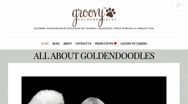 groovygoldendoodles.com