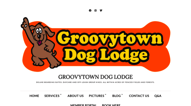 groovytowndoglodge.com