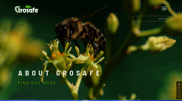 grosafe.co.nz