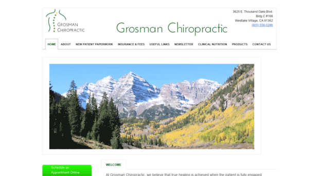 grosmanchiropractic.com