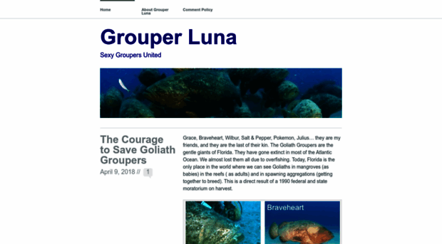 grouperluna.com