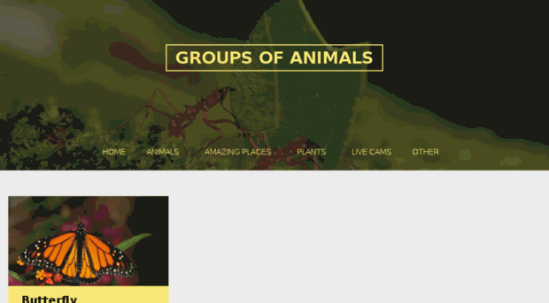 groupsofanimals.com