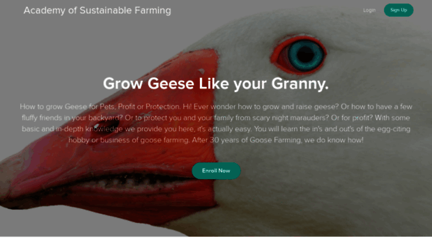 grow-geese-like-your-granny.teachable.com