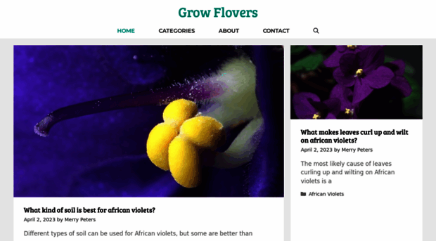 growflowersnow.com