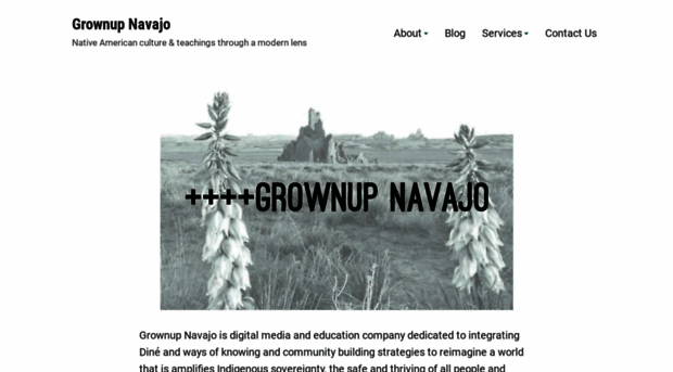 grownupnavajo.com