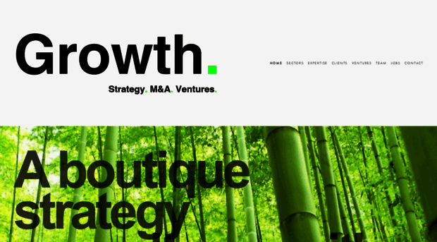 growth-strategy.com