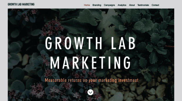 growthlabmarketing.co.uk