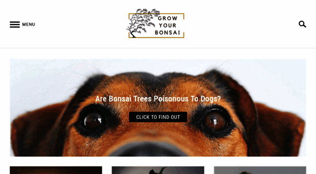 growyourbonsai.com