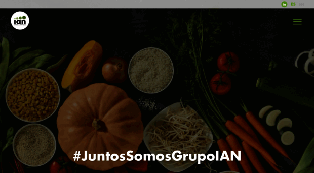 grupoian.com