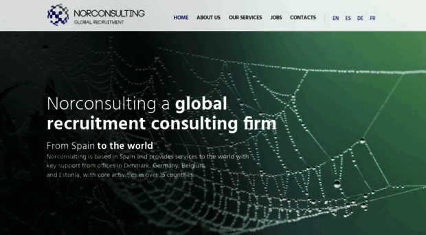 gruponorconsulting.com