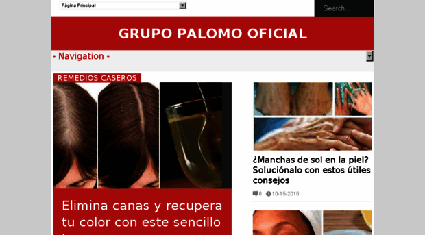 grupopalomooficial.com