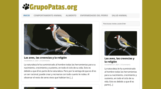 grupopatas.org