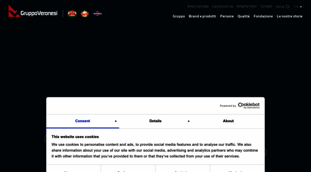 gruppoveronesi.it