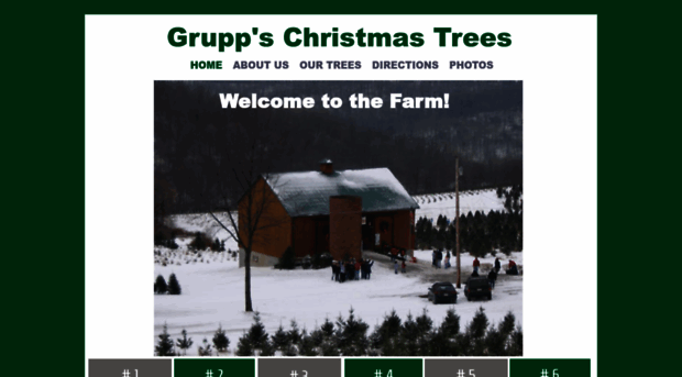 gruppschristmastrees.com
